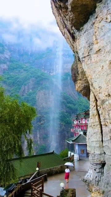 救援鹦鹉